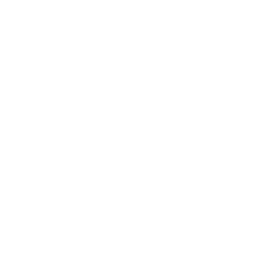 Miramar Brands licensing and partnership solutions for brands